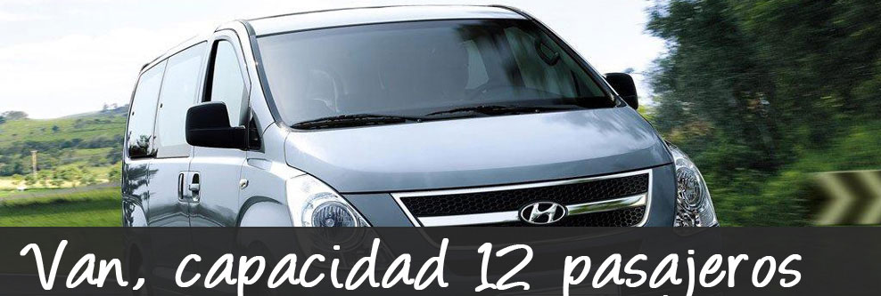 Van capacidad de 12 pasajeros